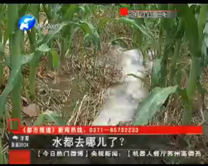 水都去哪了？