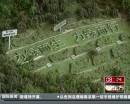 “垃圾場(chǎng)”拍婚紗：玩噱頭還是做環(huán)保？