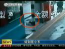高速邊苦等十三天 主人你在哪里？