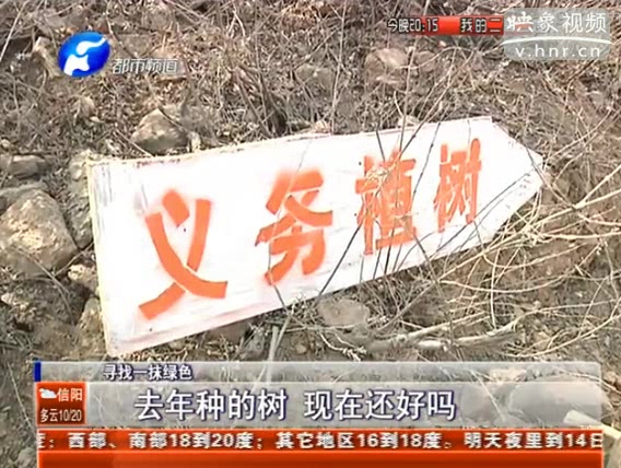 去年種的樹 現(xiàn)在還好嗎？