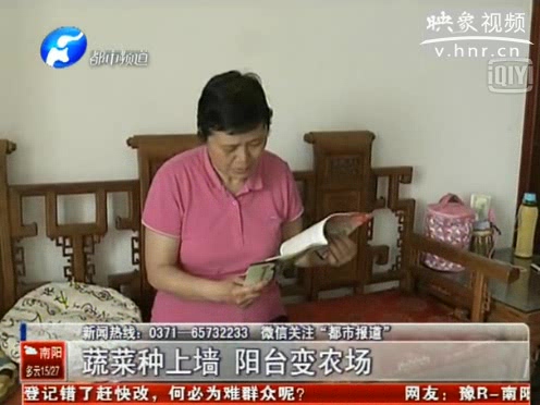 蔬菜種上墻 陽臺(tái)變農(nóng)場(chǎng)
