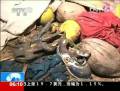 印度發(fā)生踩踏事件致數十人傷亡
