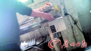 工作人員正在為“土雞蛋”噴日期碼。