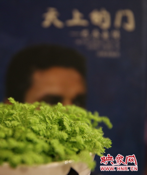 書(shū)架上精心布置的綠色植物。